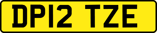 DP12TZE