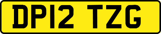 DP12TZG