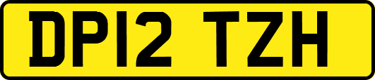 DP12TZH