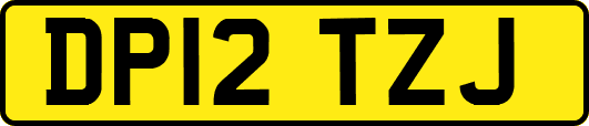 DP12TZJ