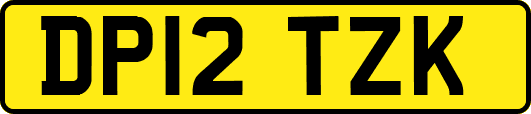 DP12TZK
