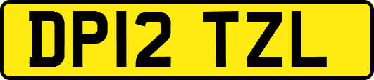 DP12TZL