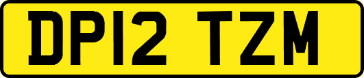 DP12TZM