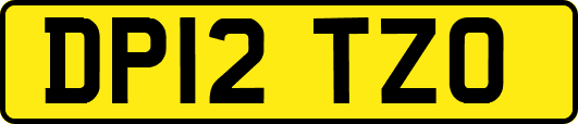 DP12TZO
