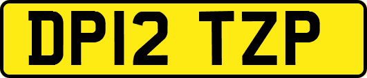DP12TZP