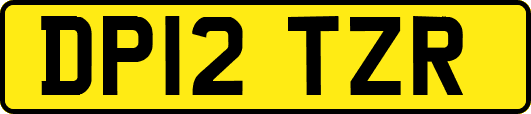 DP12TZR