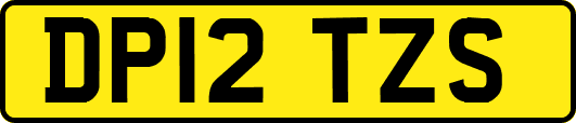 DP12TZS