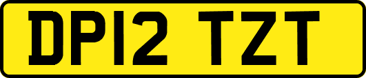 DP12TZT
