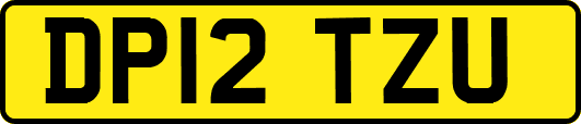 DP12TZU