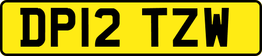 DP12TZW