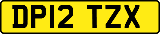 DP12TZX