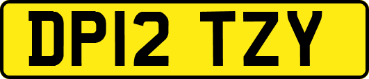 DP12TZY