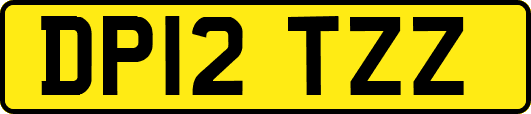 DP12TZZ
