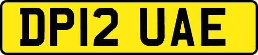 DP12UAE