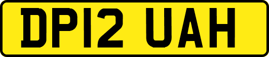 DP12UAH