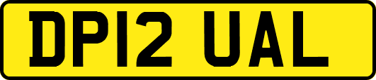 DP12UAL
