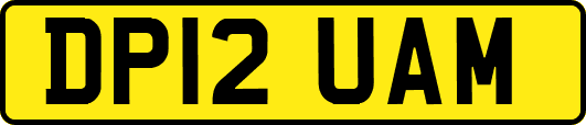 DP12UAM