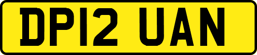 DP12UAN