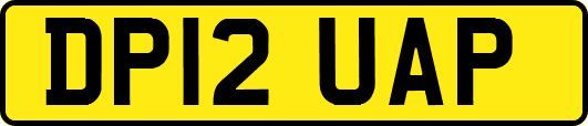 DP12UAP