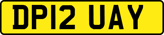 DP12UAY