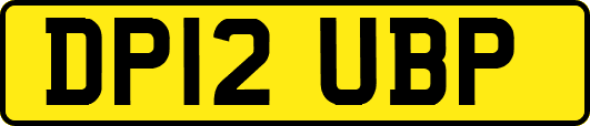 DP12UBP