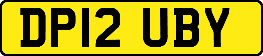 DP12UBY