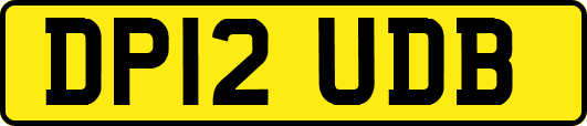 DP12UDB