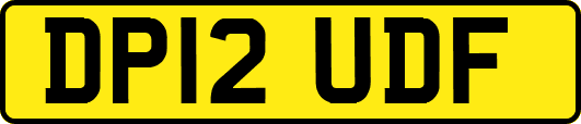 DP12UDF