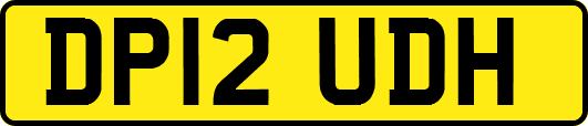 DP12UDH