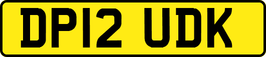 DP12UDK