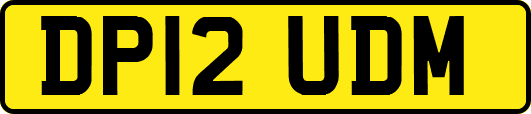 DP12UDM