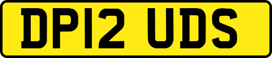 DP12UDS