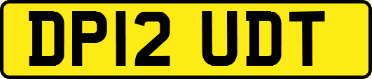 DP12UDT