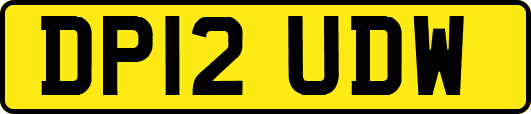 DP12UDW