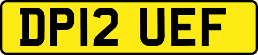 DP12UEF