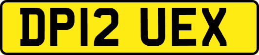DP12UEX