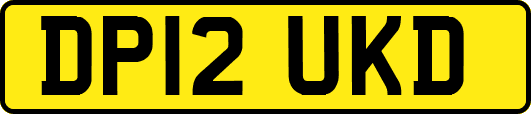 DP12UKD
