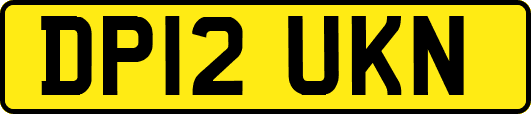 DP12UKN