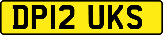 DP12UKS