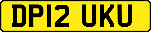 DP12UKU
