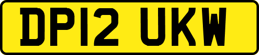 DP12UKW