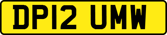 DP12UMW