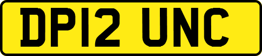 DP12UNC