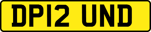 DP12UND