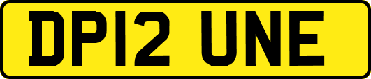 DP12UNE