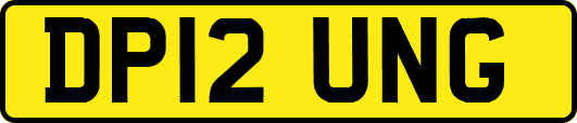 DP12UNG