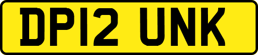 DP12UNK