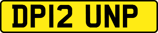 DP12UNP