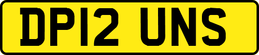 DP12UNS