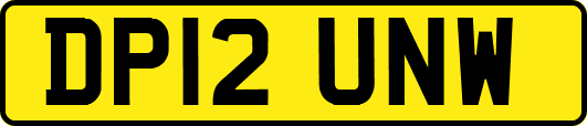 DP12UNW